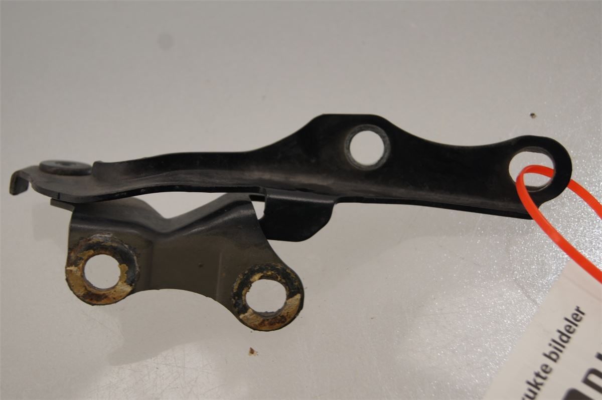 Panser Hengsel / Hengsler – bilde 2