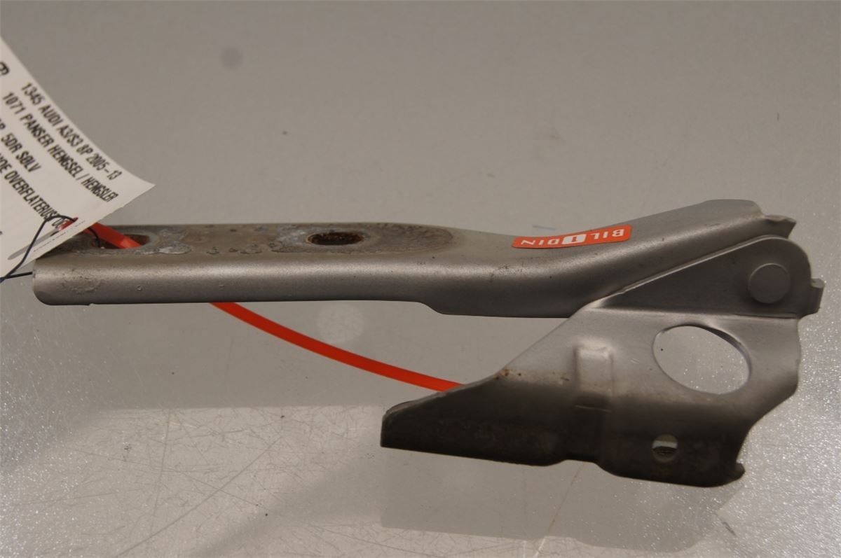 Panser Hengsel / Hengsler – bilde 1