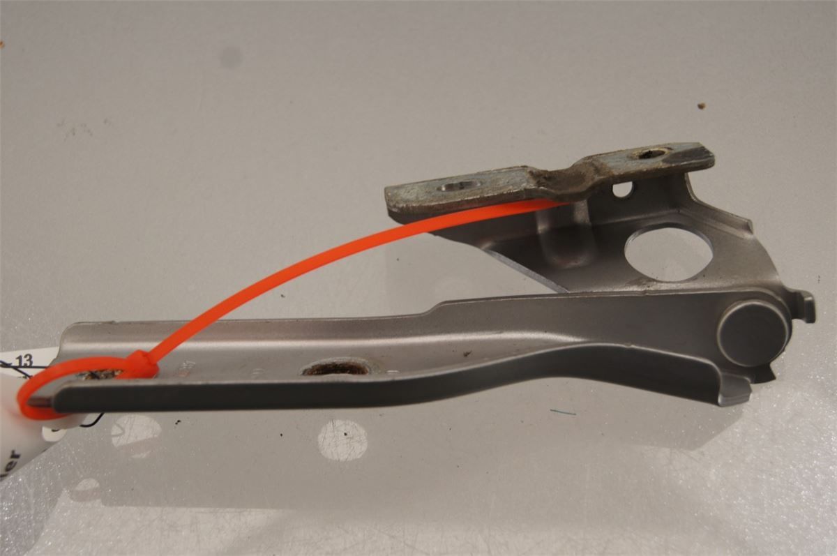 Panser Hengsel / Hengsler – bilde 2
