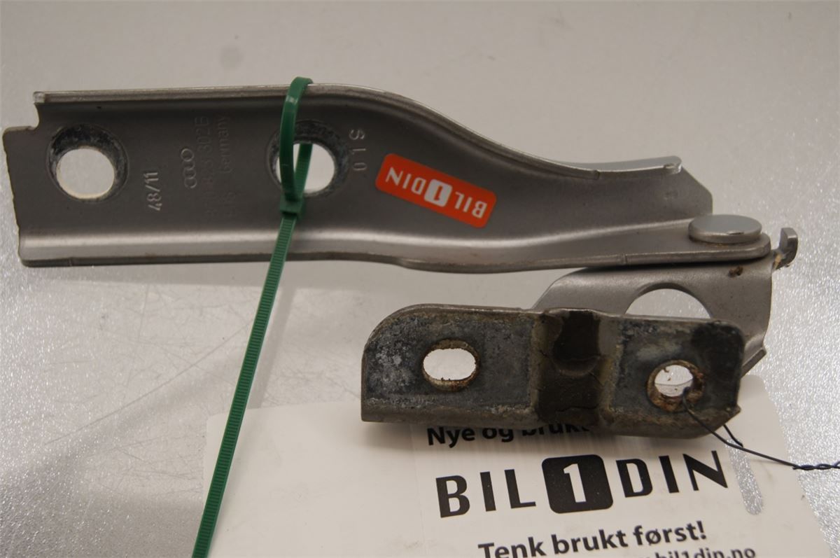 Panser Hengsel / Hengsler – bilde 1
