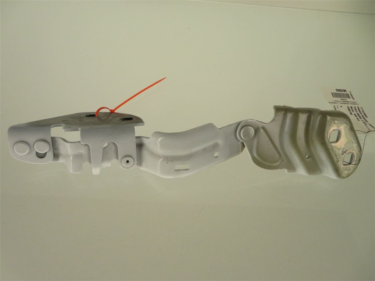 Panser Hengsel / Hengsler – bilde 1