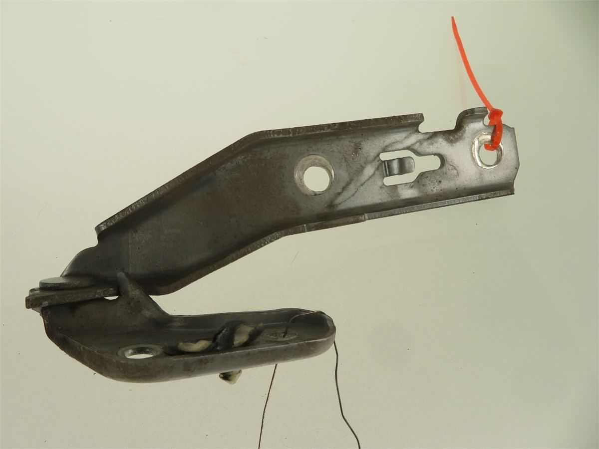 Panser Hengsel / Hengsler – bilde 2