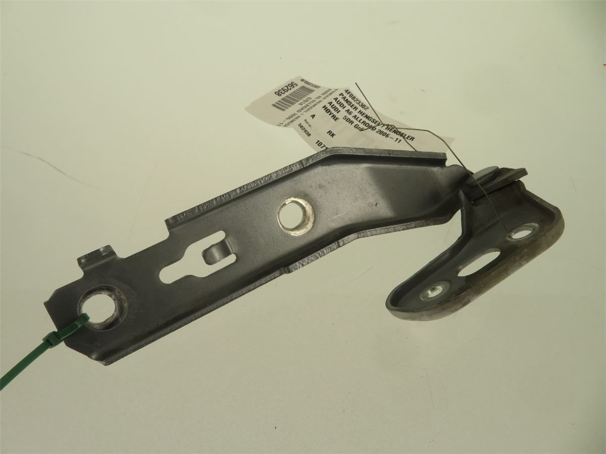 Panser Hengsel / Hengsler – bilde 1