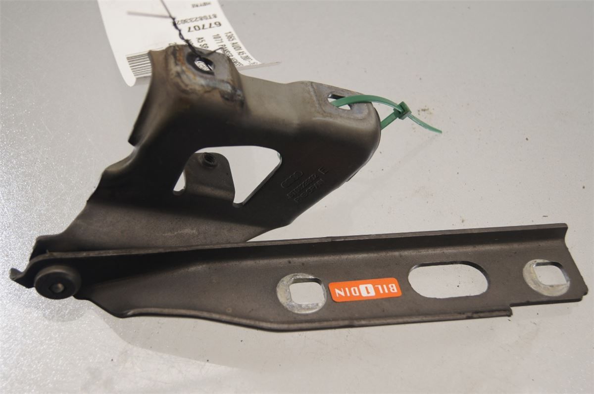 Panser Hengsel / Hengsler – bilde 1