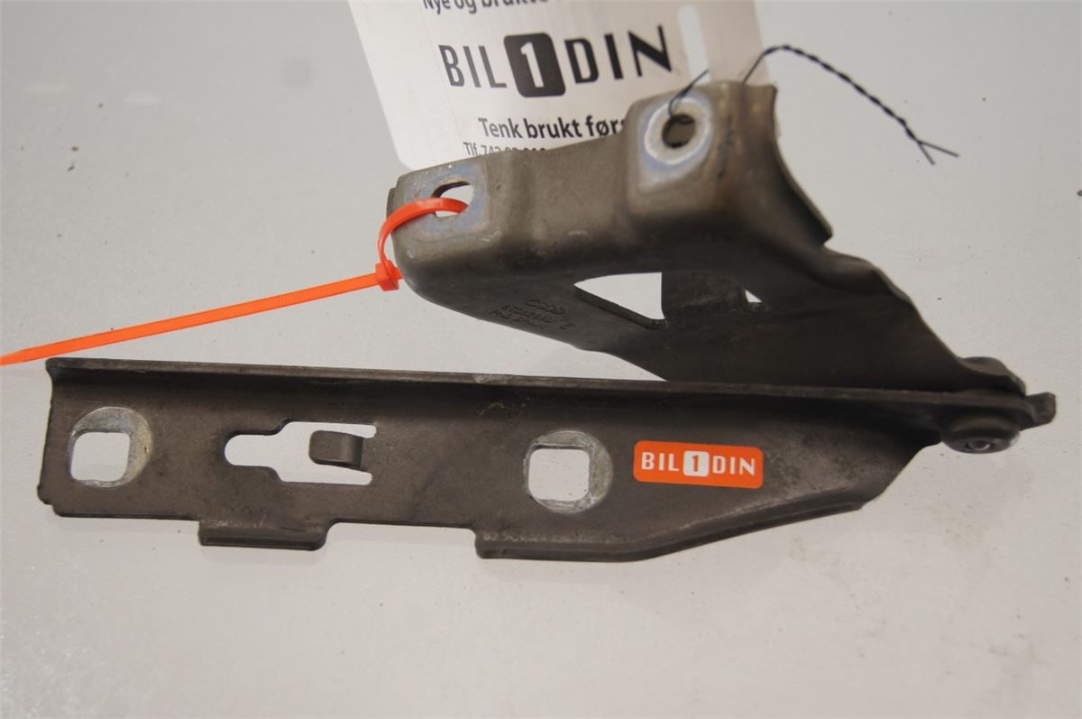 Panser Hengsel / Hengsler – bilde 1