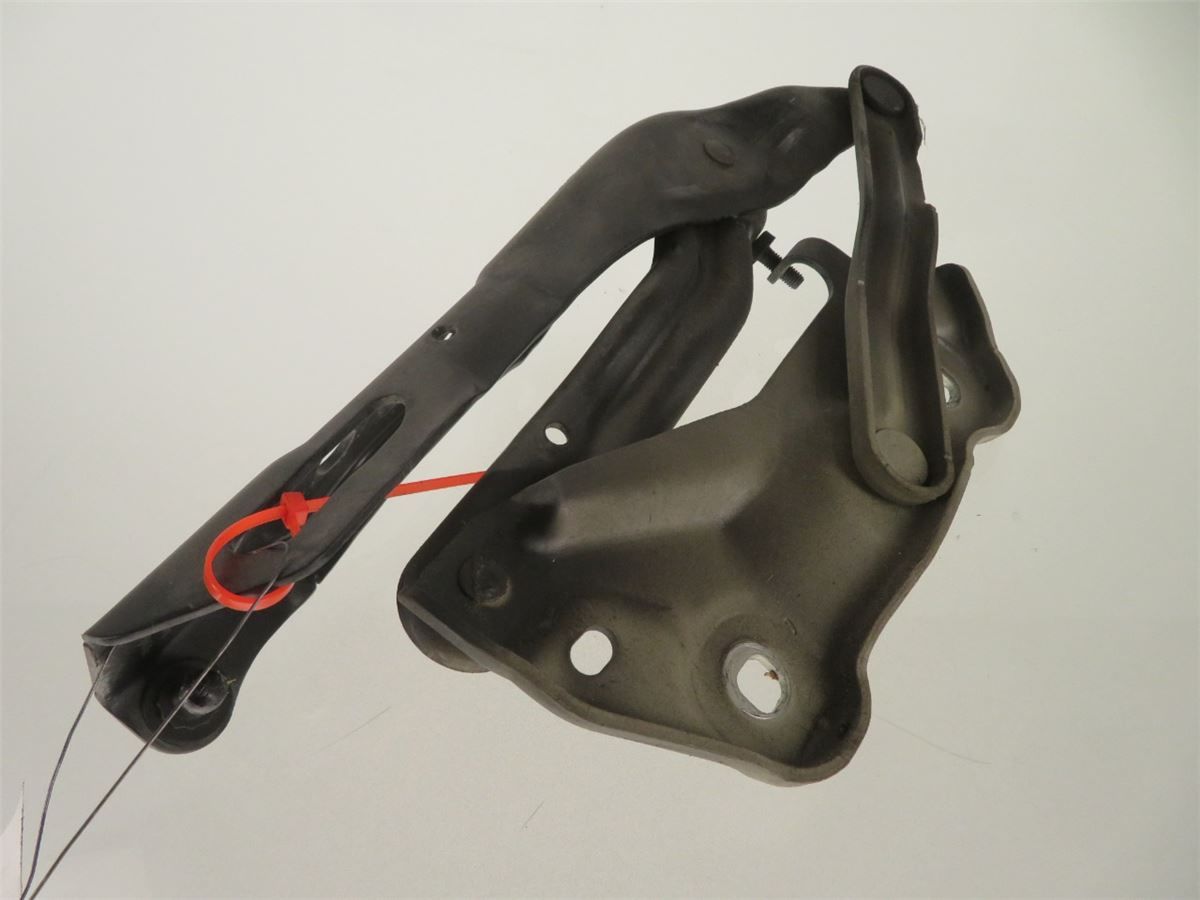 Panser Hengsel / Hengsler – bilde 1