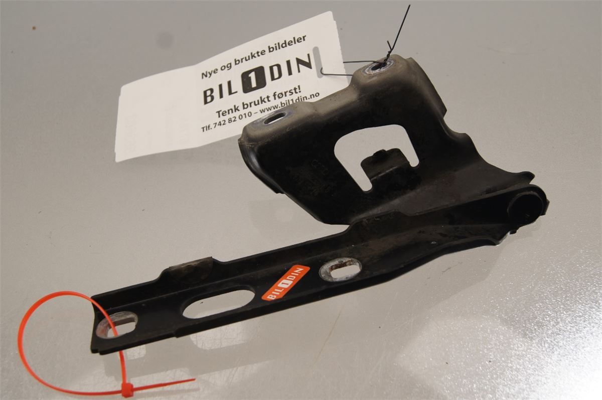 Panser Hengsel / Hengsler – bilde 1