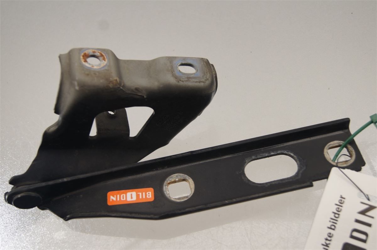 Panser Hengsel / Hengsler – bilde 1