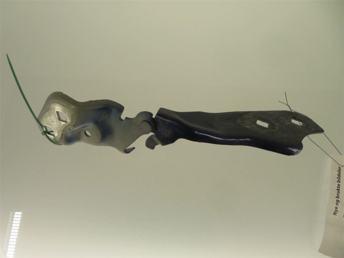 Panser Hengsel / Hengsler – bilde 2