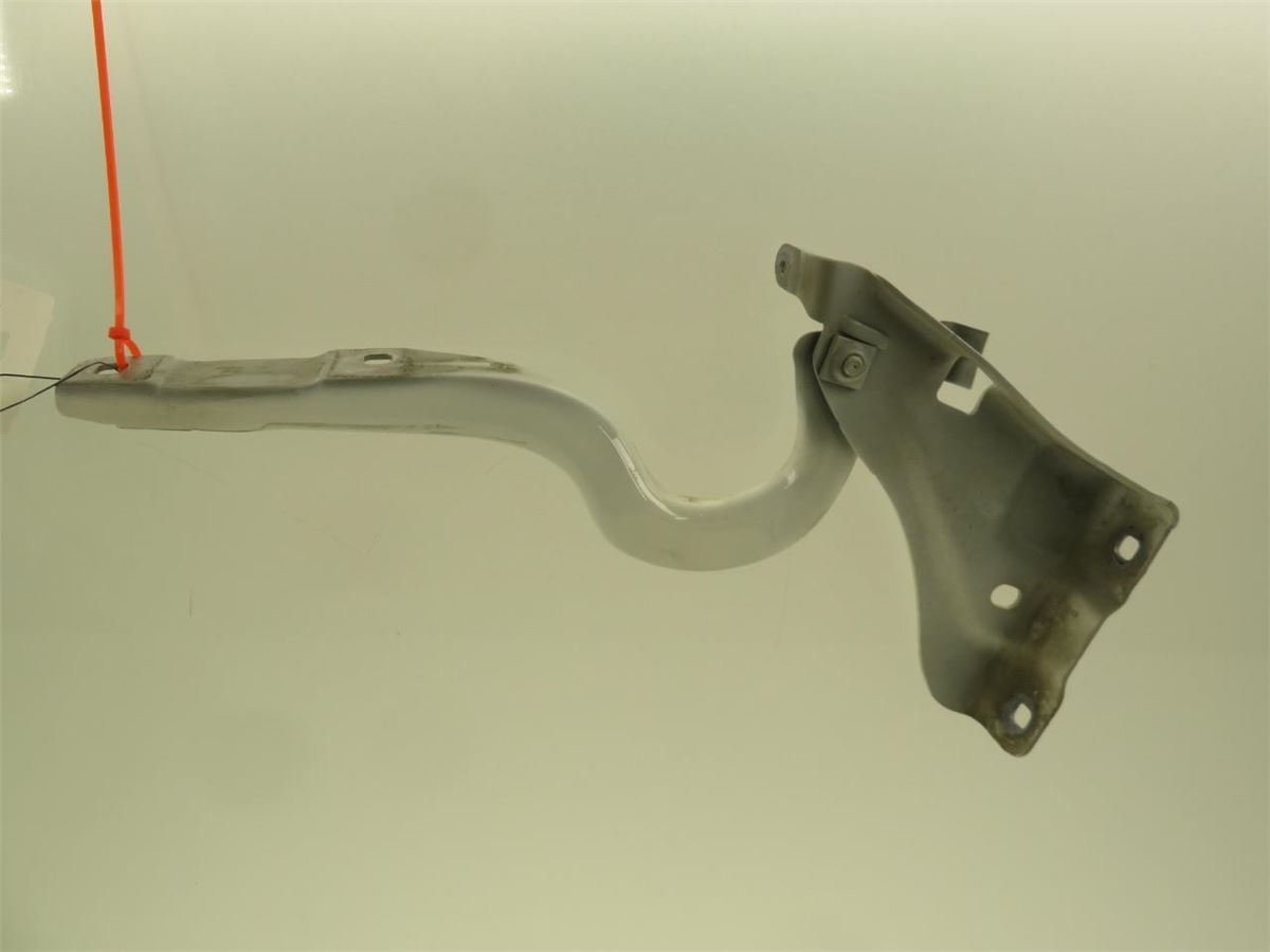 Panser Hengsel / Hengsler – bilde 1