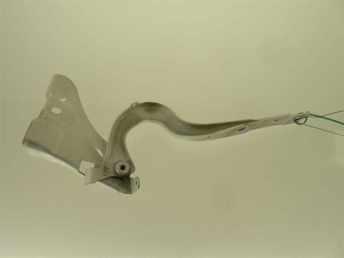 Panser Hengsel / Hengsler – bilde 1