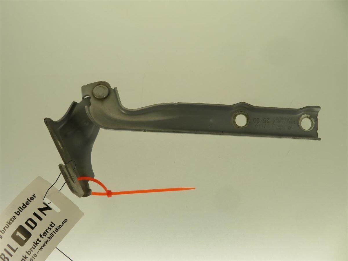 Panser Hengsel / Hengsler – bilde 1
