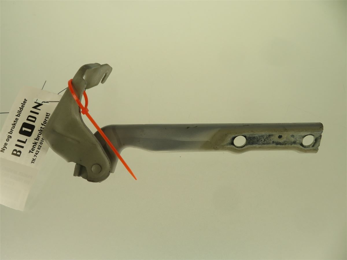 Panser Hengsel / Hengsler – bilde 2