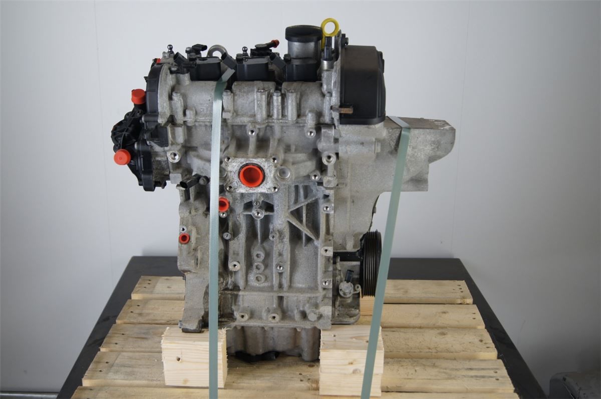 Motor Bensin – bilde 1