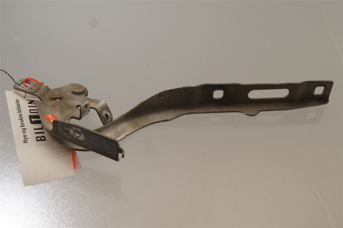 Panser Hengsel / Hengsler – bilde 1