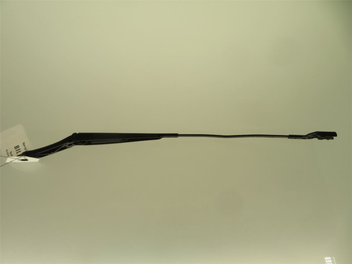 Viskerarm / Armer Frontrute – bilde 1