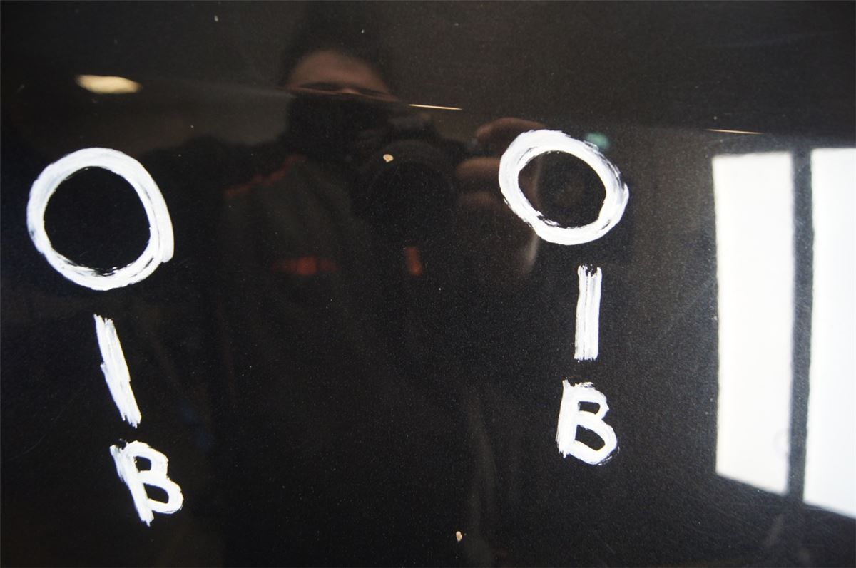 Panser – bilde 3