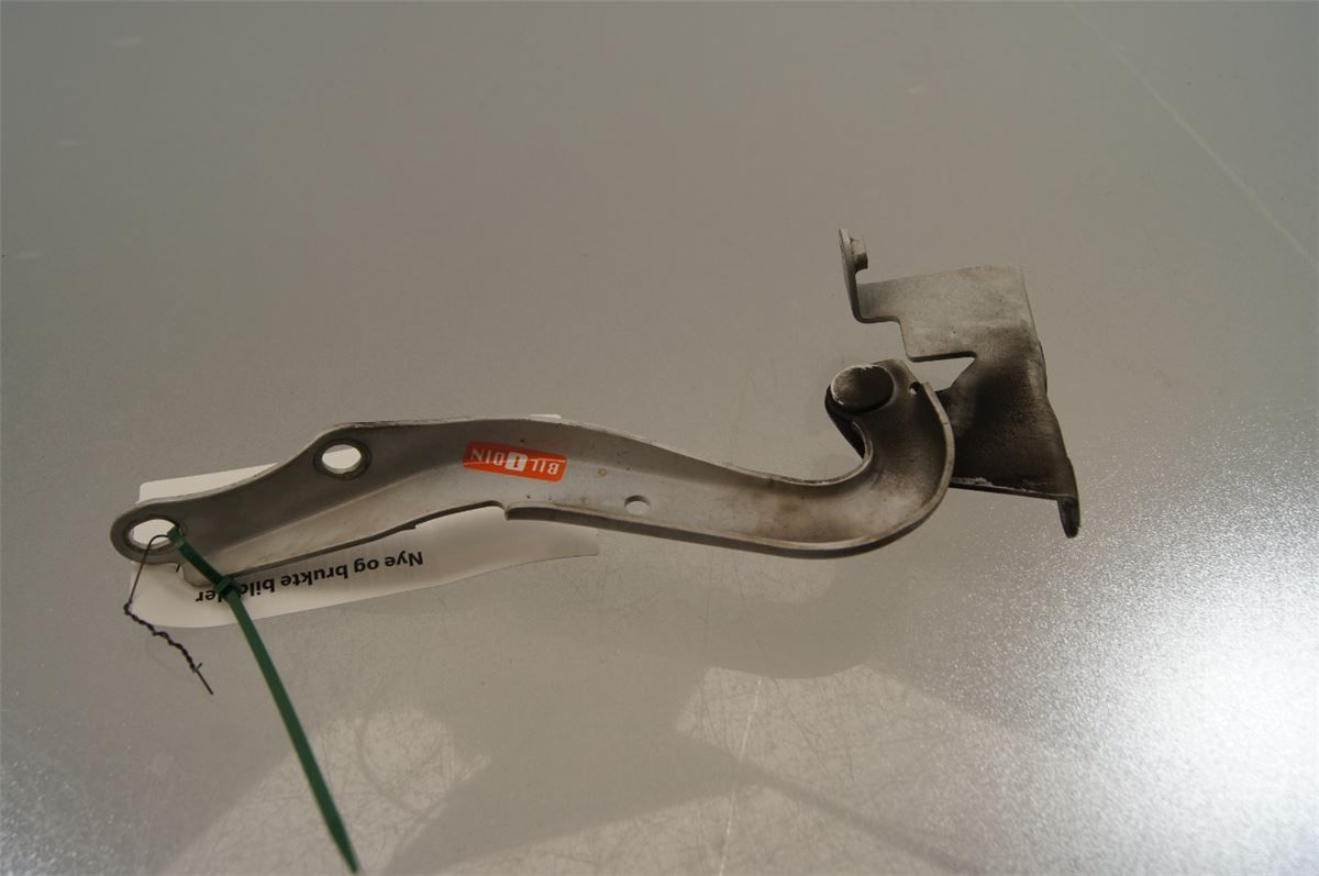 Panser Hengsel / Hengsler – bilde 1