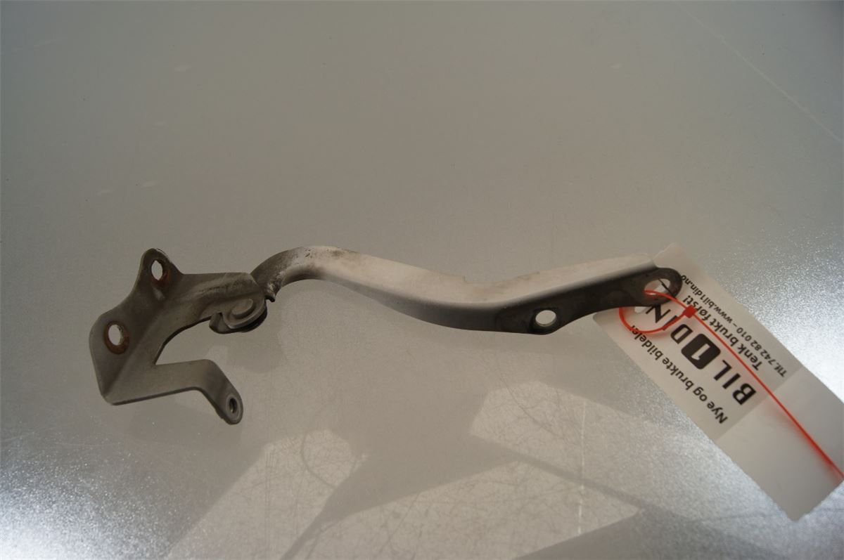 Panser Hengsel / Hengsler – bilde 6