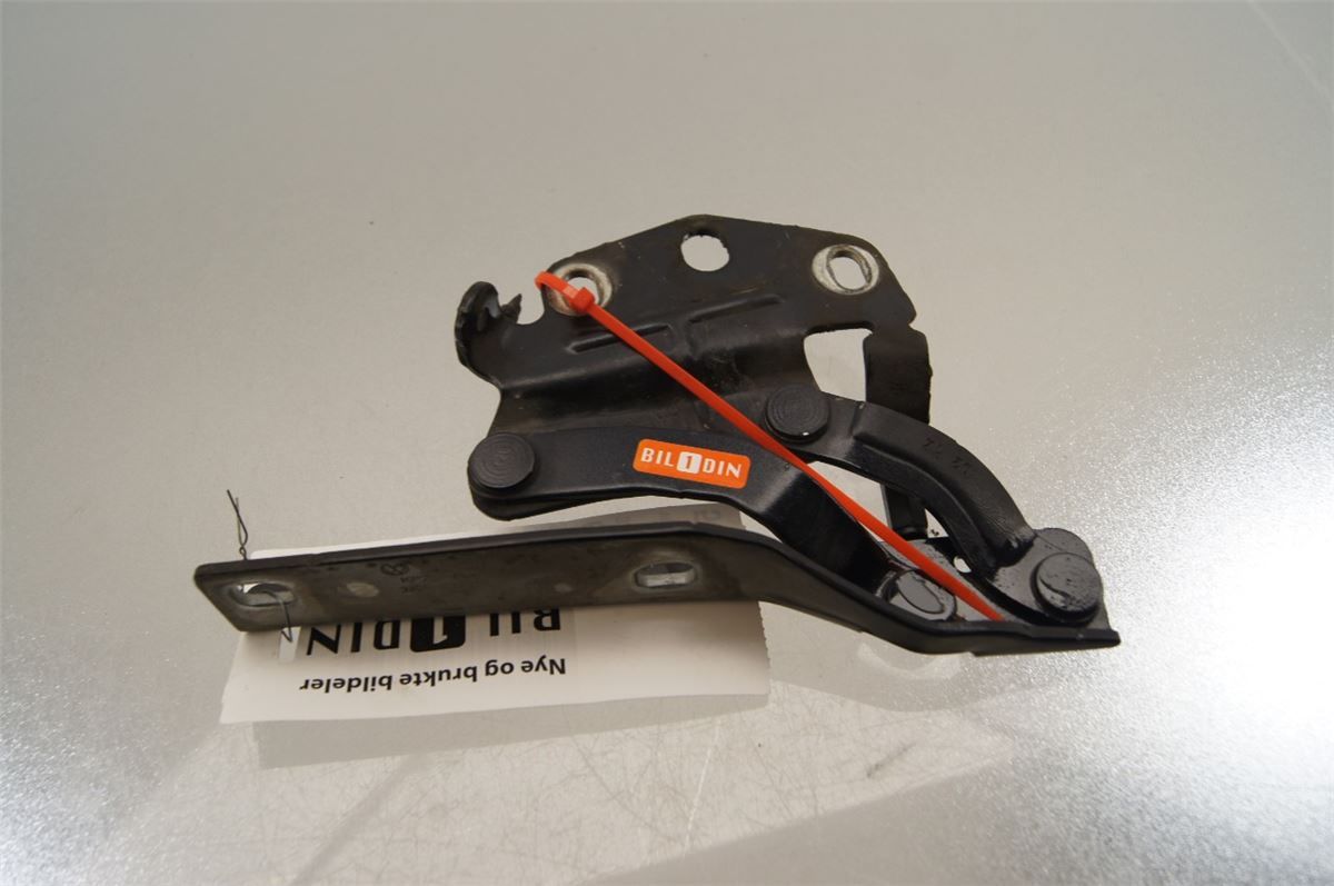 Panser Hengsel / Hengsler – bilde 1