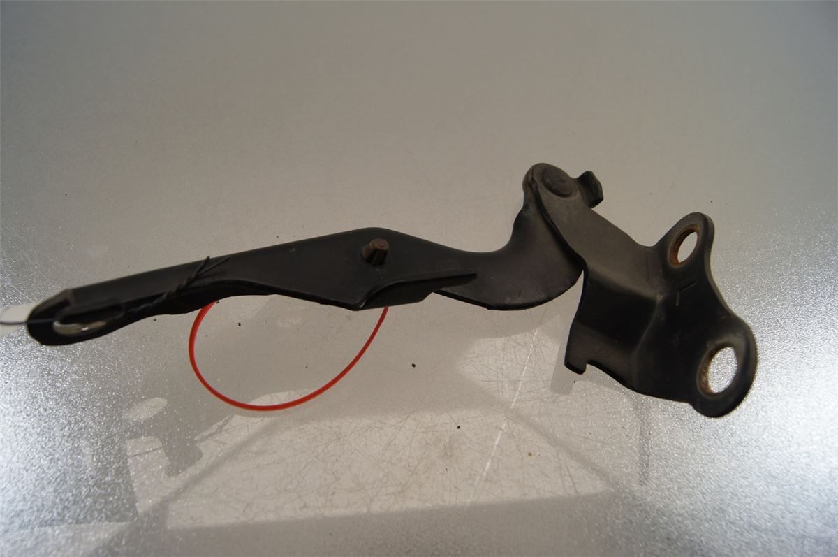 Panser Hengsel / Hengsler – bilde 2