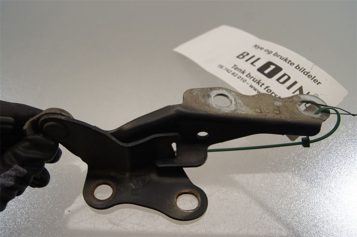 Panser Hengsel / Hengsler – bilde 2