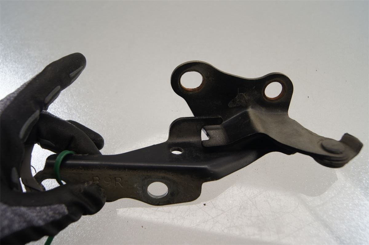 Panser Hengsel / Hengsler – bilde 3