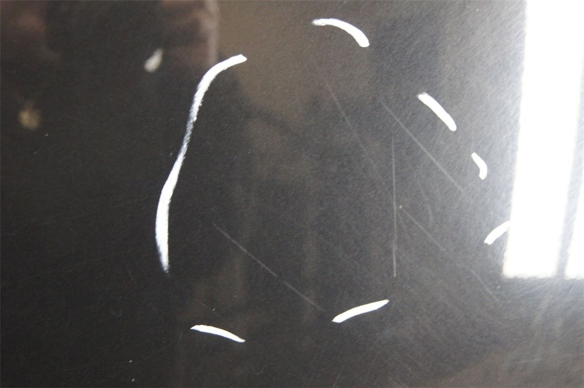 Panser – bilde 3