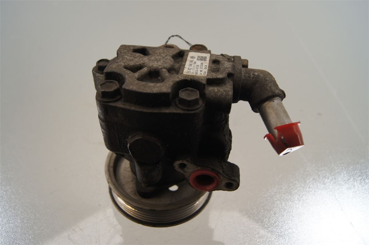 Servo Pumpe – bilde 1