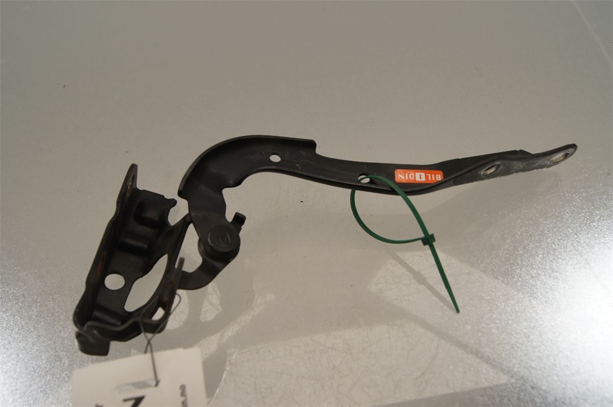 Panser Hengsel / Hengsler – bilde 1
