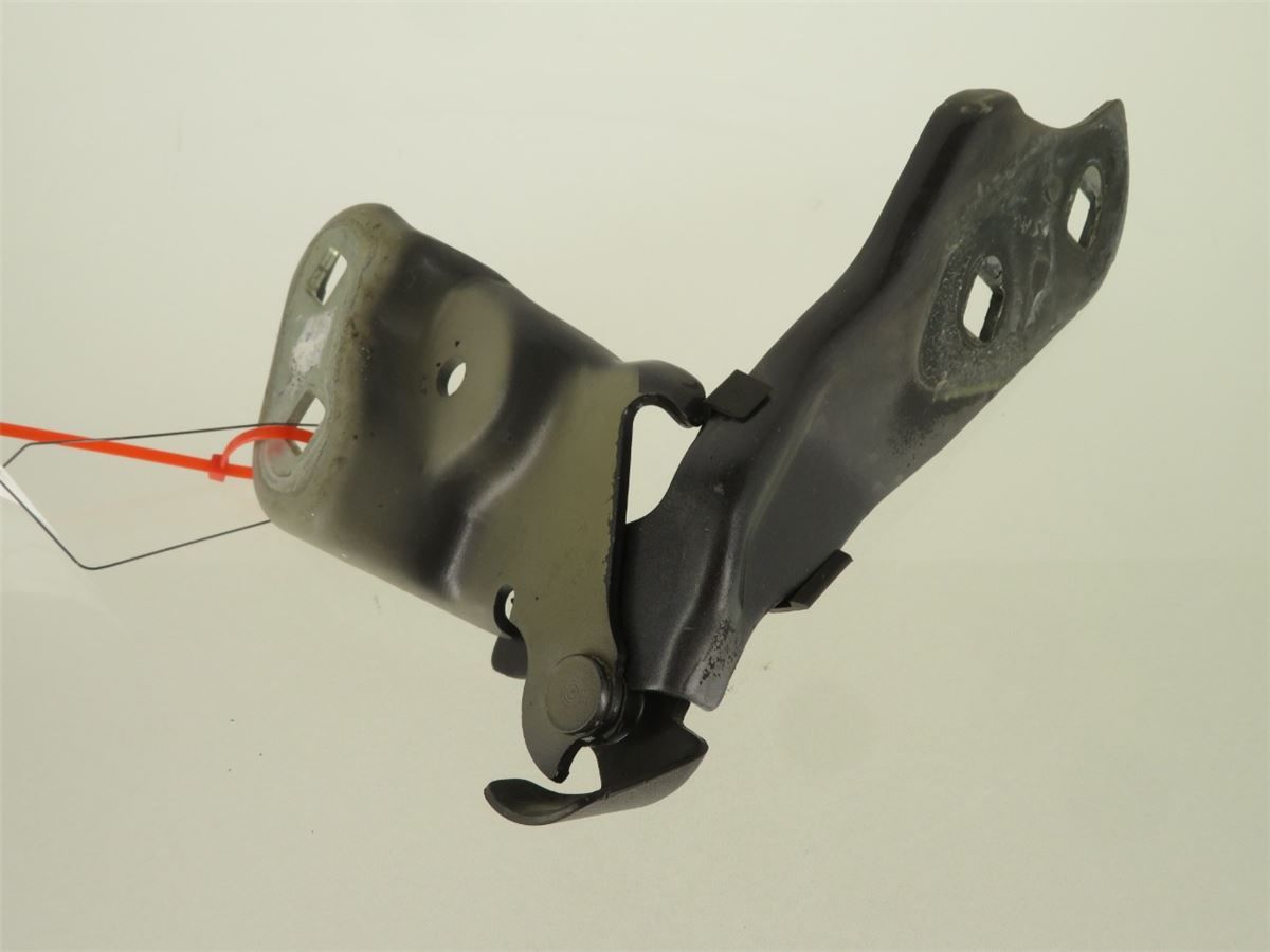 Panser Hengsel / Hengsler – bilde 1