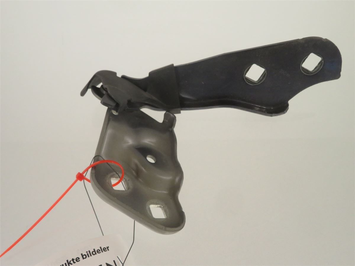 Panser Hengsel / Hengsler – bilde 2