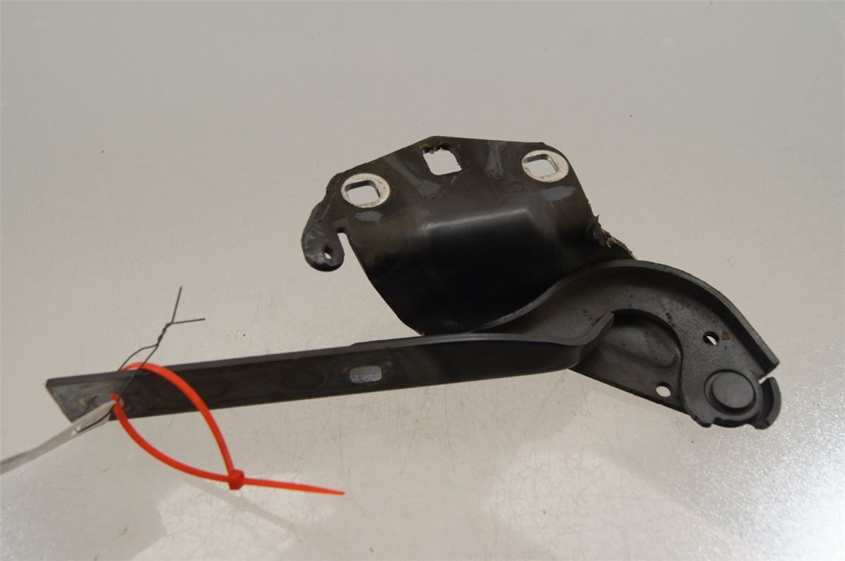 Panser Hengsel / Hengsler – bilde 1