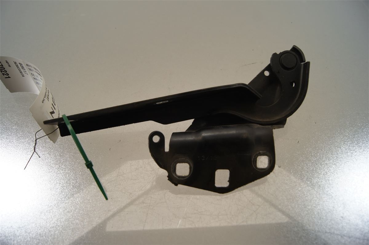 Panser Hengsel / Hengsler – bilde 2