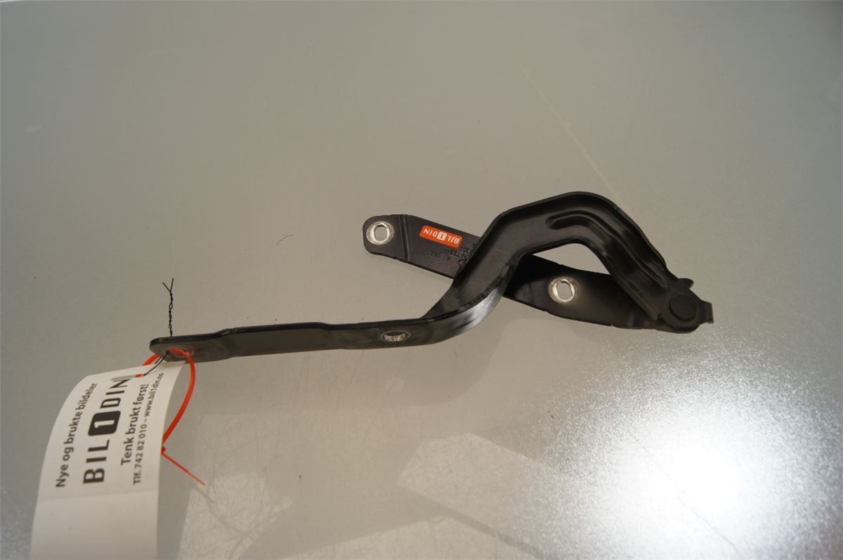 Panser Hengsel / Hengsler – bilde 1
