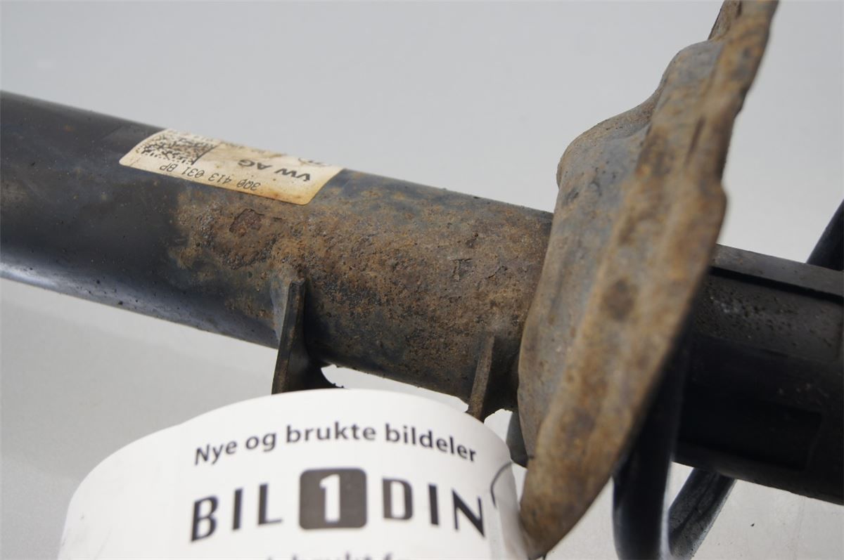 Fjærbein Foran Venstre – bilde 2