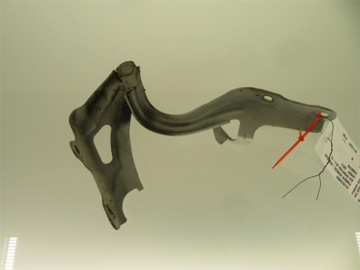 Panser Hengsel / Hengsler – bilde 1