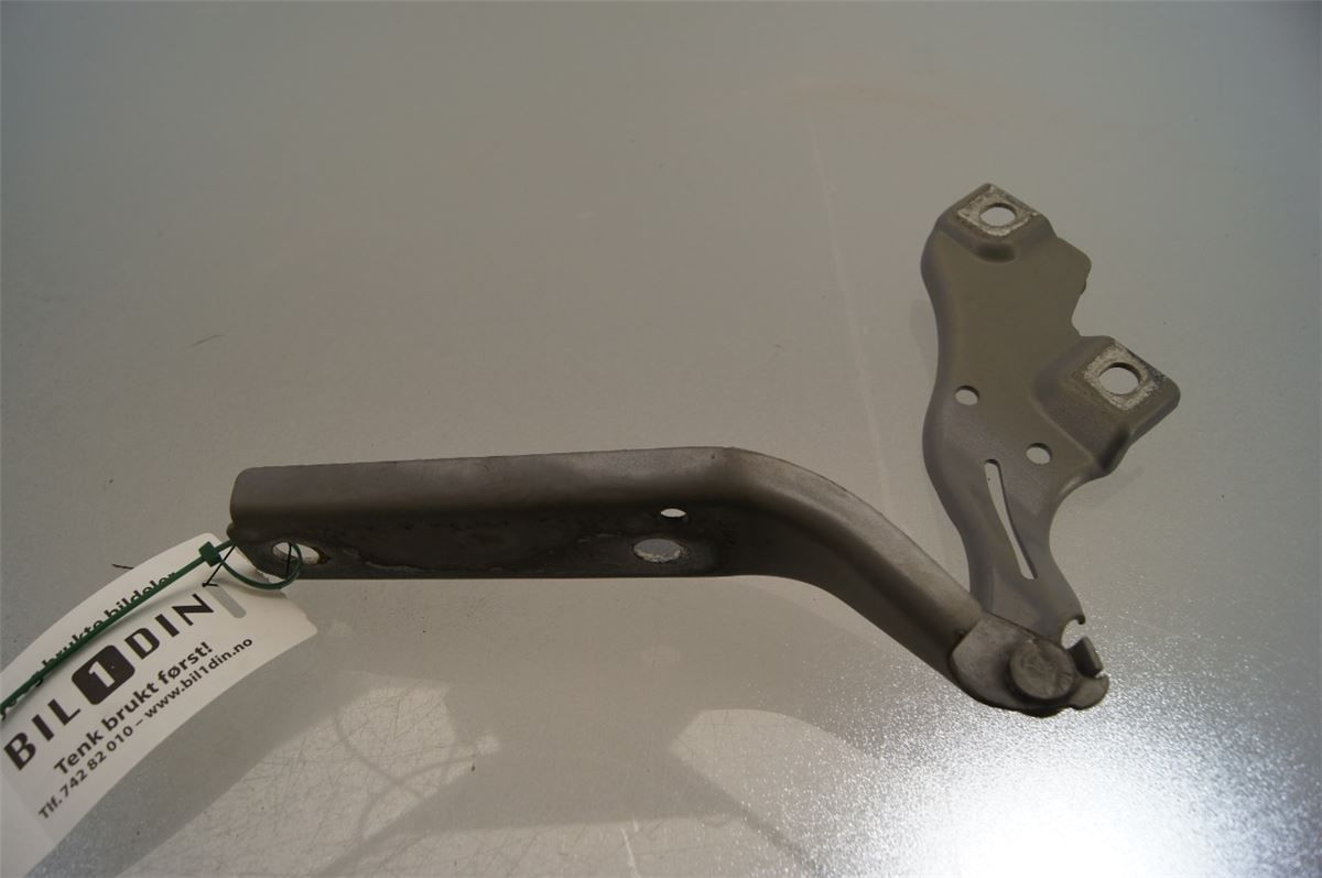 Panser Hengsel / Hengsler – bilde 2