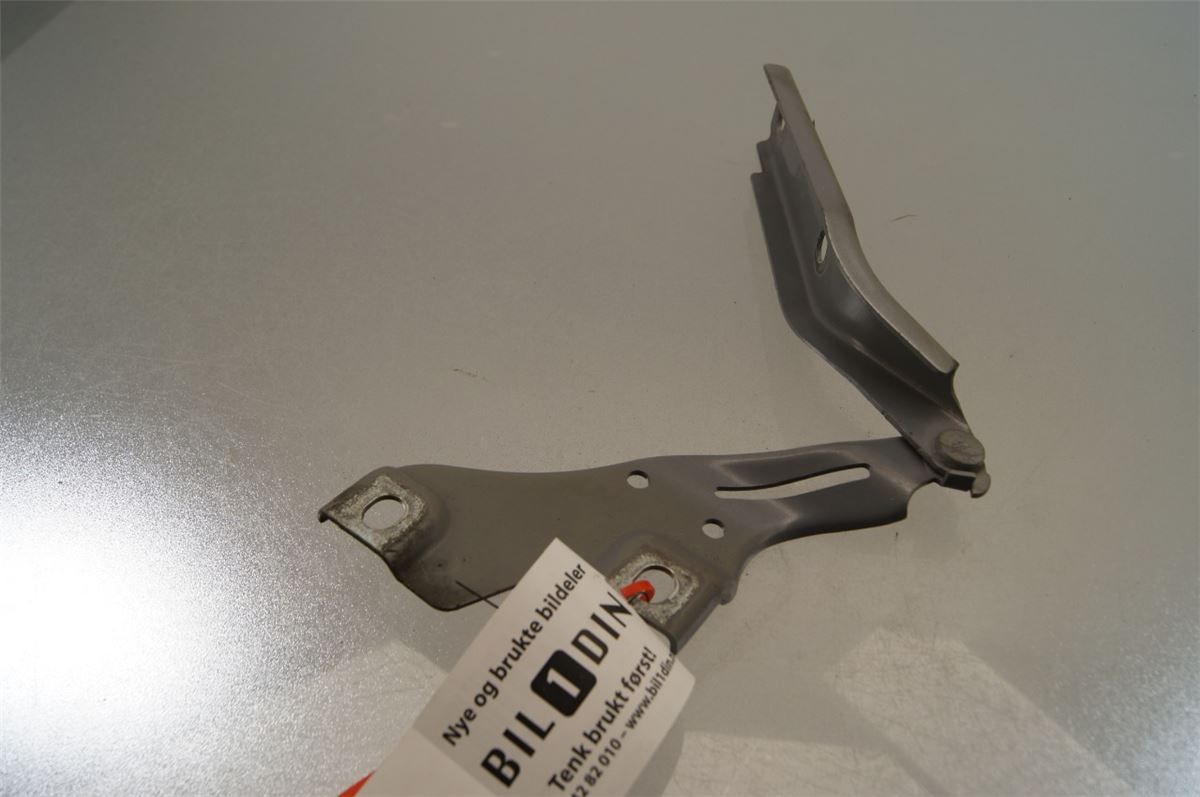 Panser Hengsel / Hengsler – bilde 1