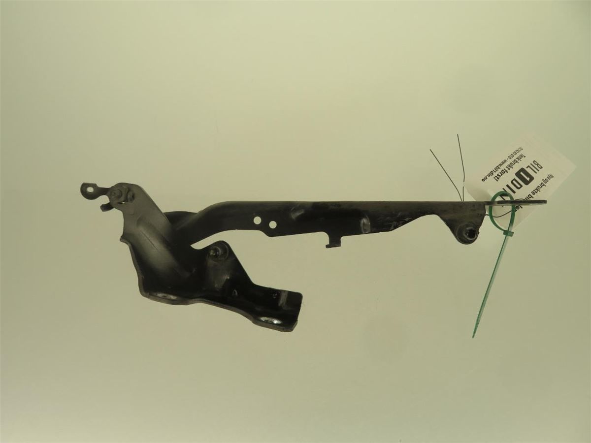 Panser Hengsel / Hengsler – bilde 1