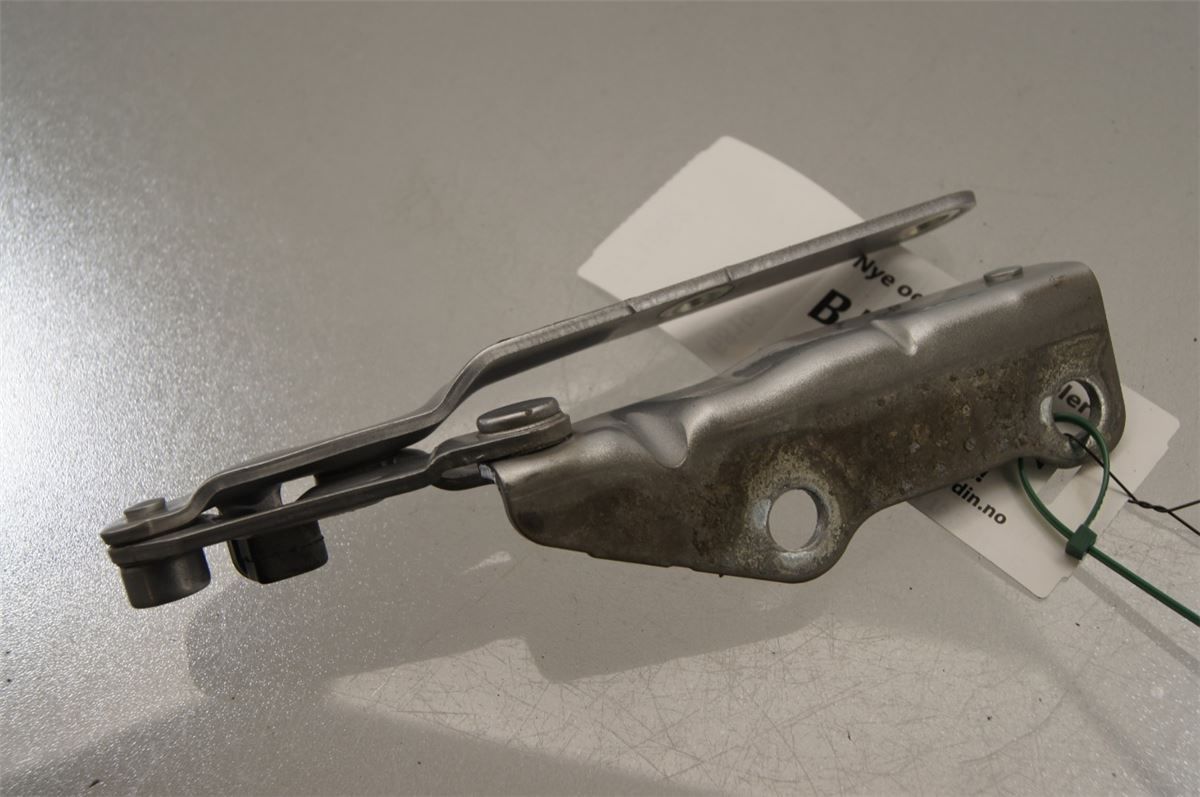 Panser Hengsel / Hengsler – bilde 2