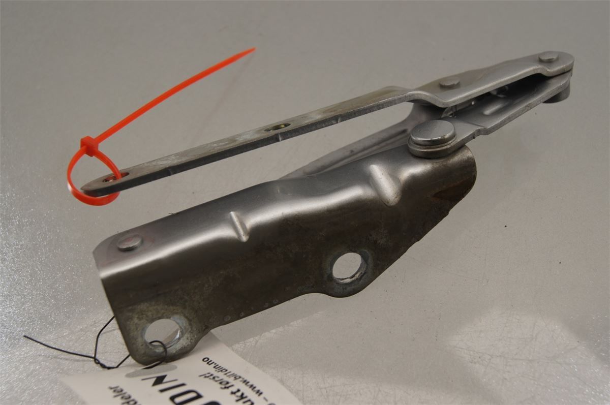 Panser Hengsel / Hengsler – bilde 2