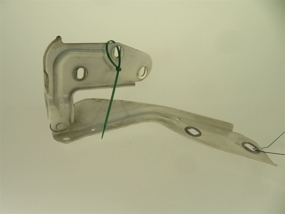 Panser Hengsel / Hengsler – bilde 2