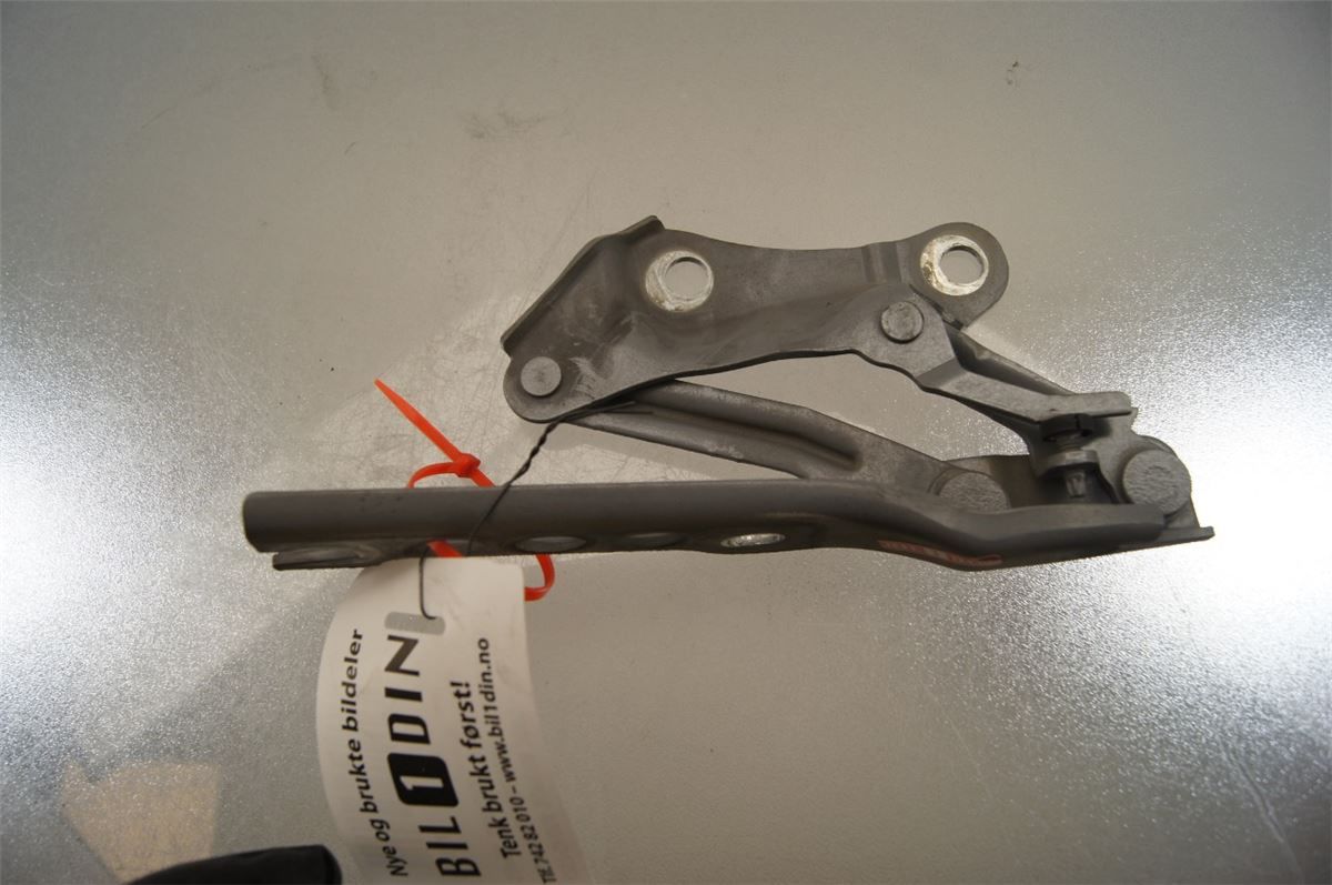 Panser Hengsel / Hengsler – bilde 1