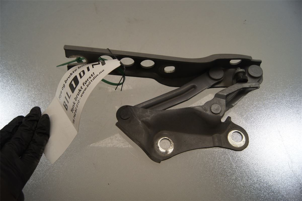 Panser Hengsel / Hengsler – bilde 1