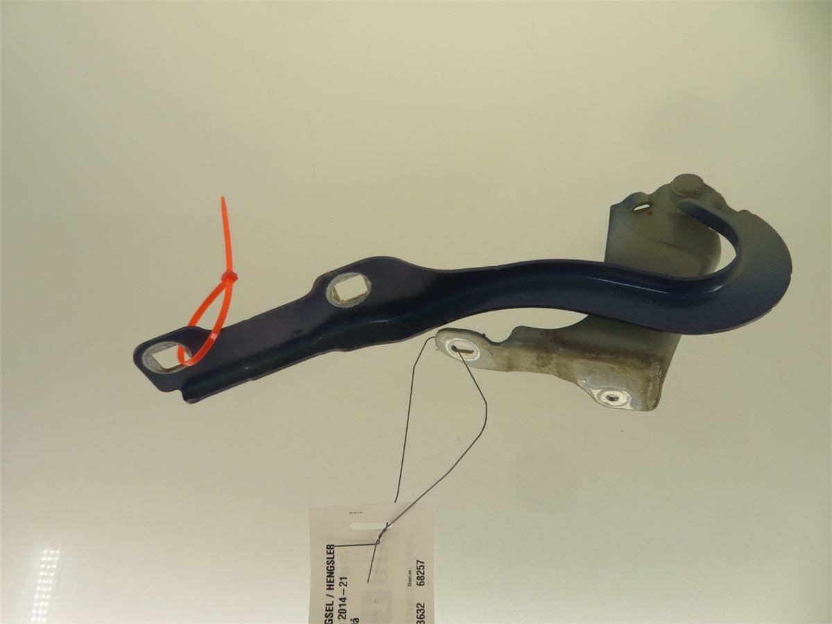 Panser Hengsel / Hengsler – bilde 1