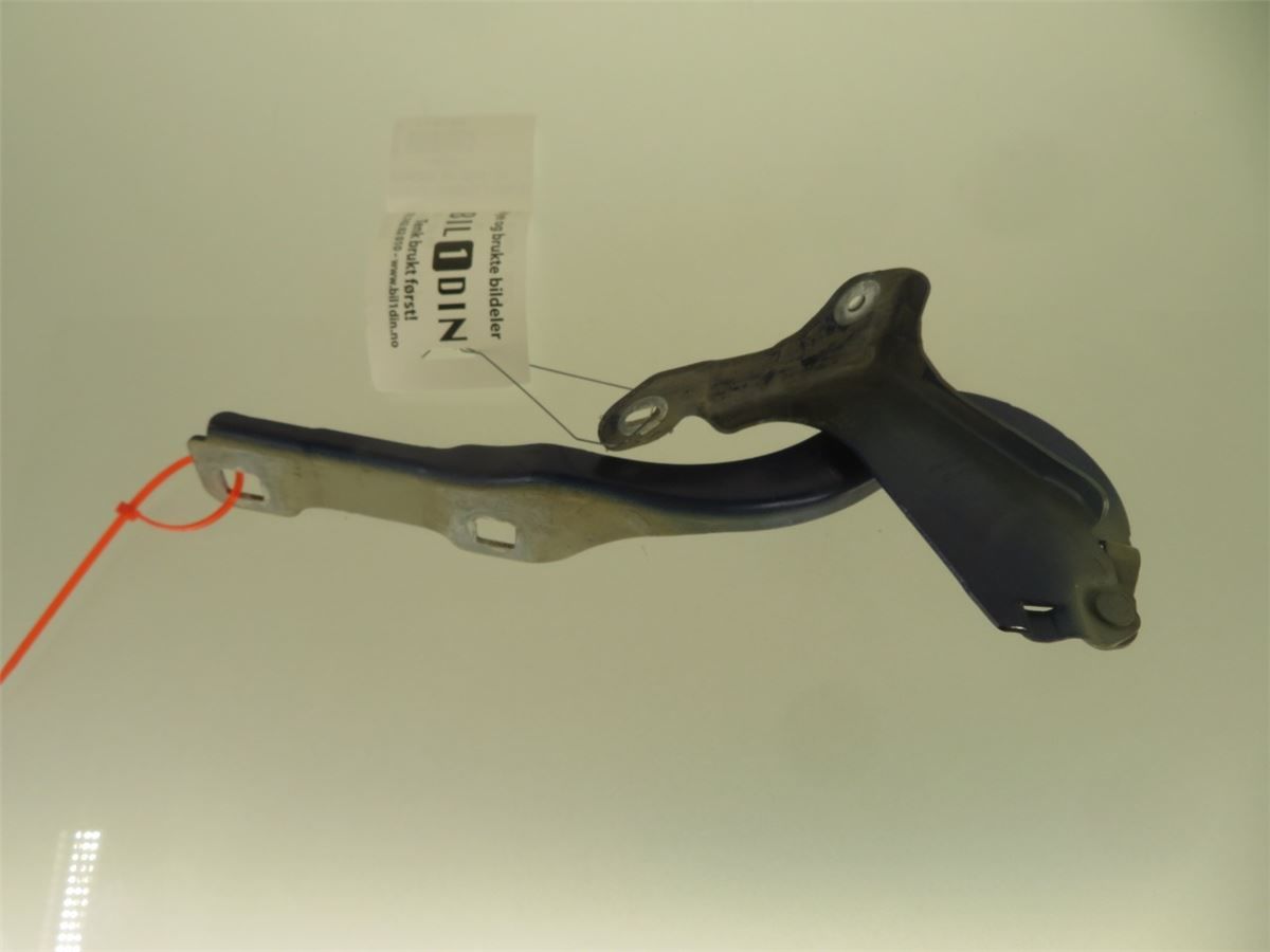Panser Hengsel / Hengsler – bilde 2