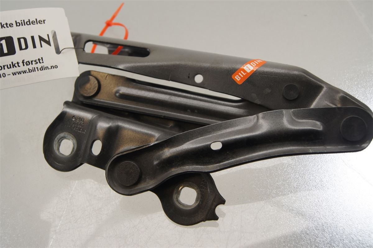 Panser Hengsel / Hengsler – bilde 1