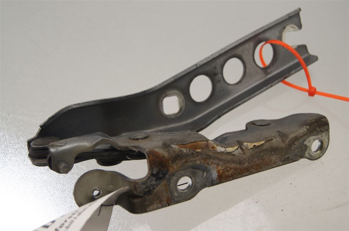 Panser Hengsel / Hengsler – bilde 2