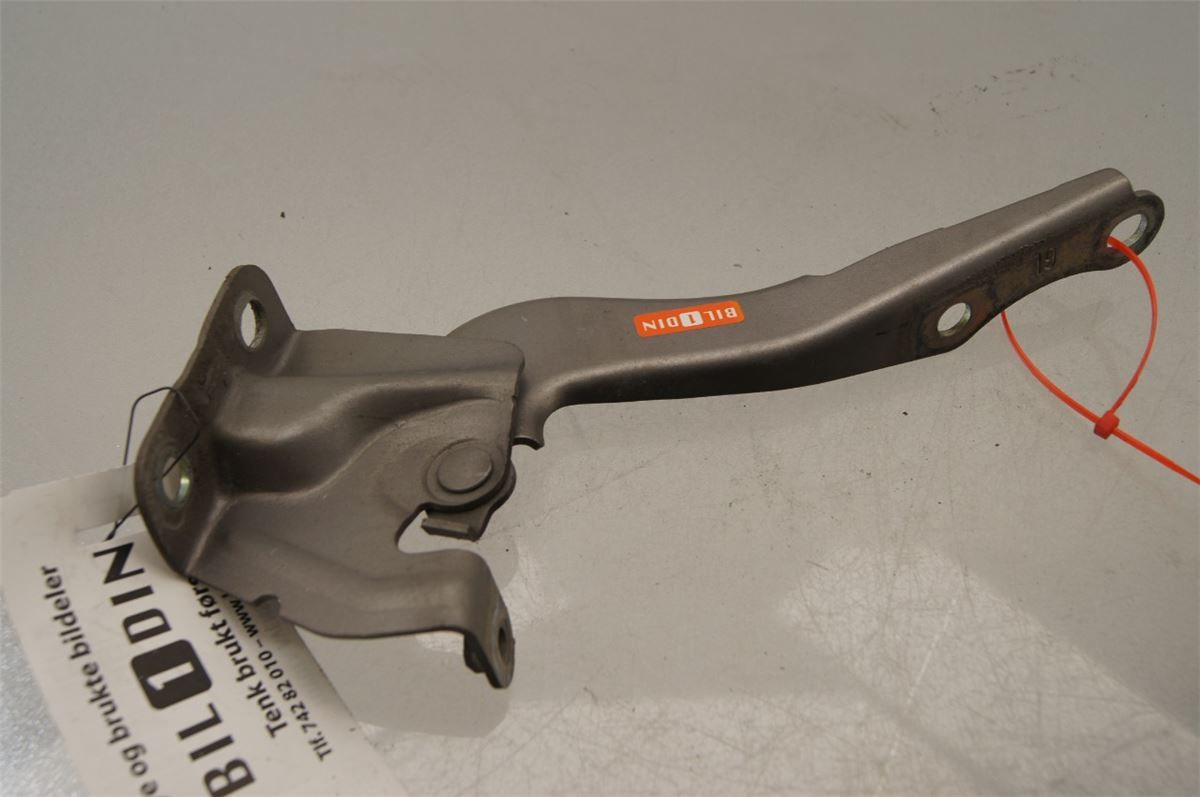 Panser Hengsel / Hengsler – bilde 1